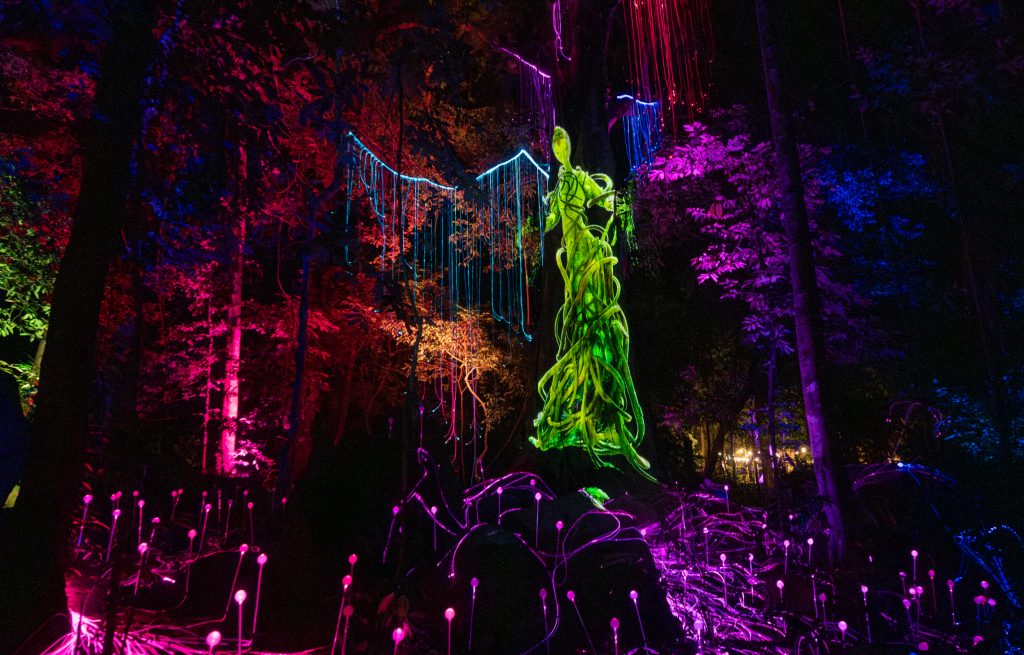 Dream Forest Langkawi