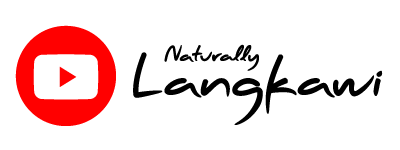 video-title-for-web